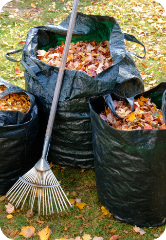 Paysagiste Demo 5 Nos Valeurs1 Paysagiste Demo 5 Nos Valeurs1