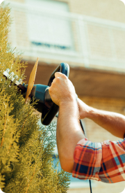 Paysagiste Demo 5 Real3